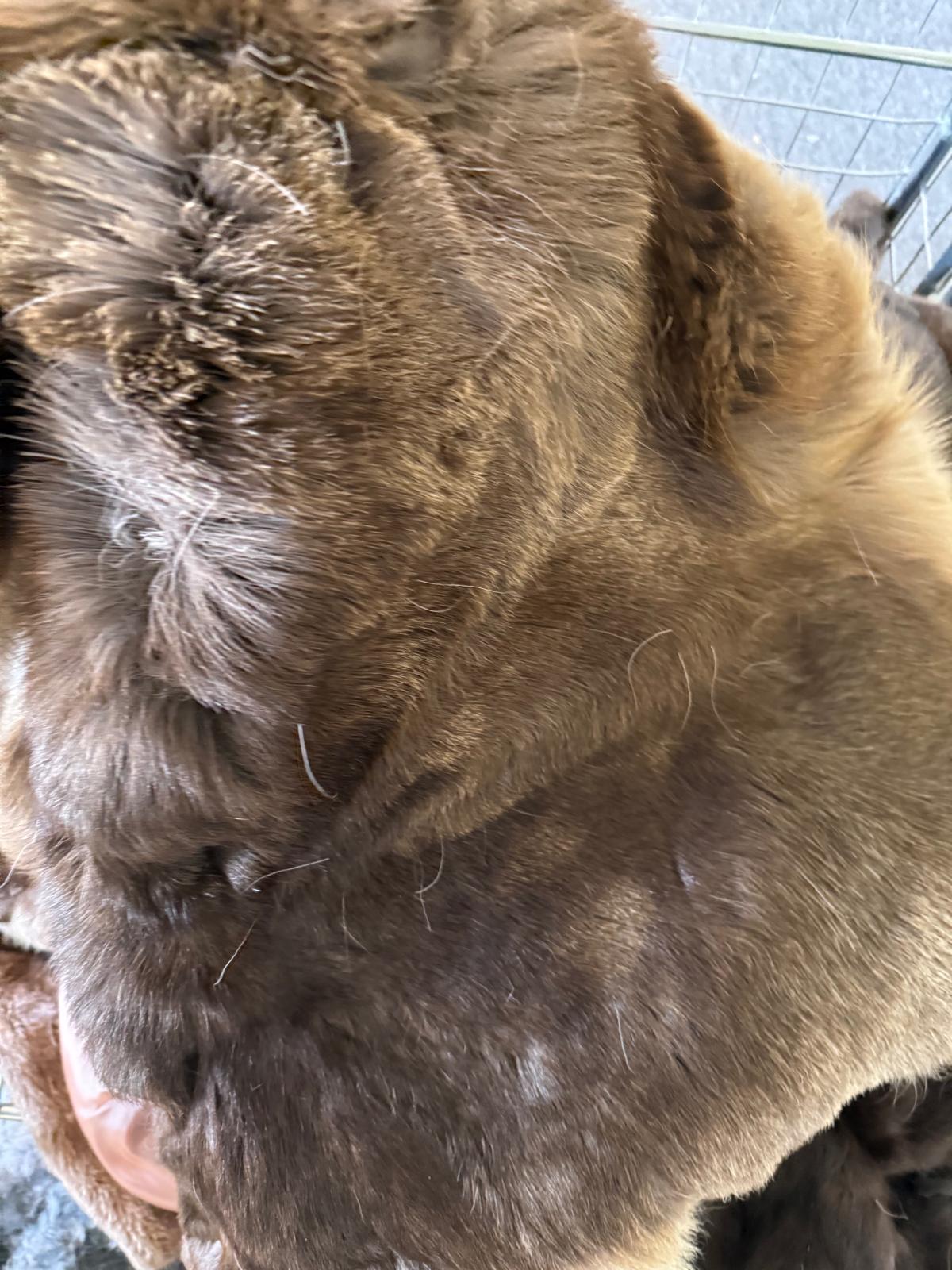 3 Piece Vintage Fur Bundle