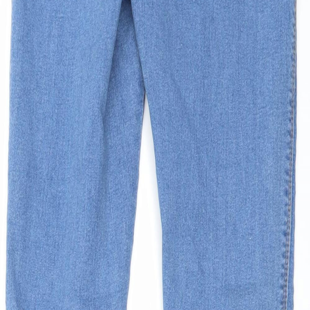 Womens Blue Denim Skinny Jeans Size 28 in L26 in