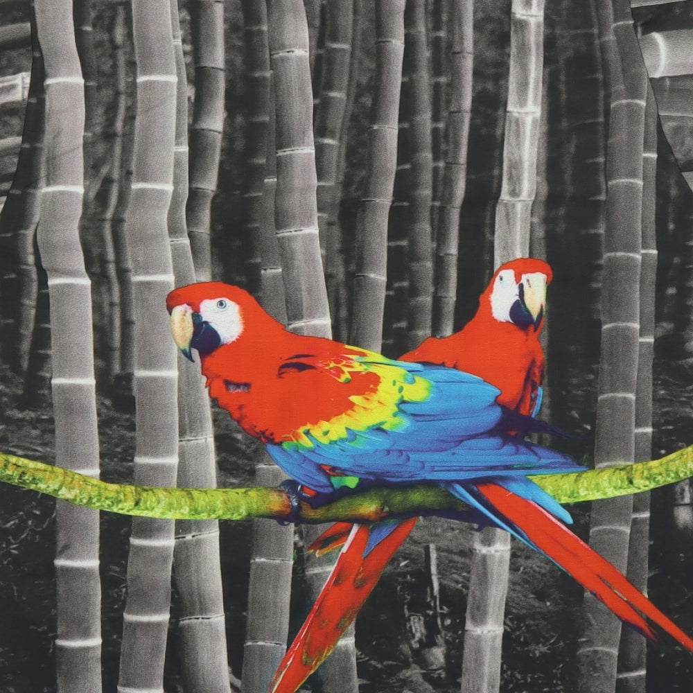 Happy Bay Mens Grey Button-Up Size XS - PARROTS