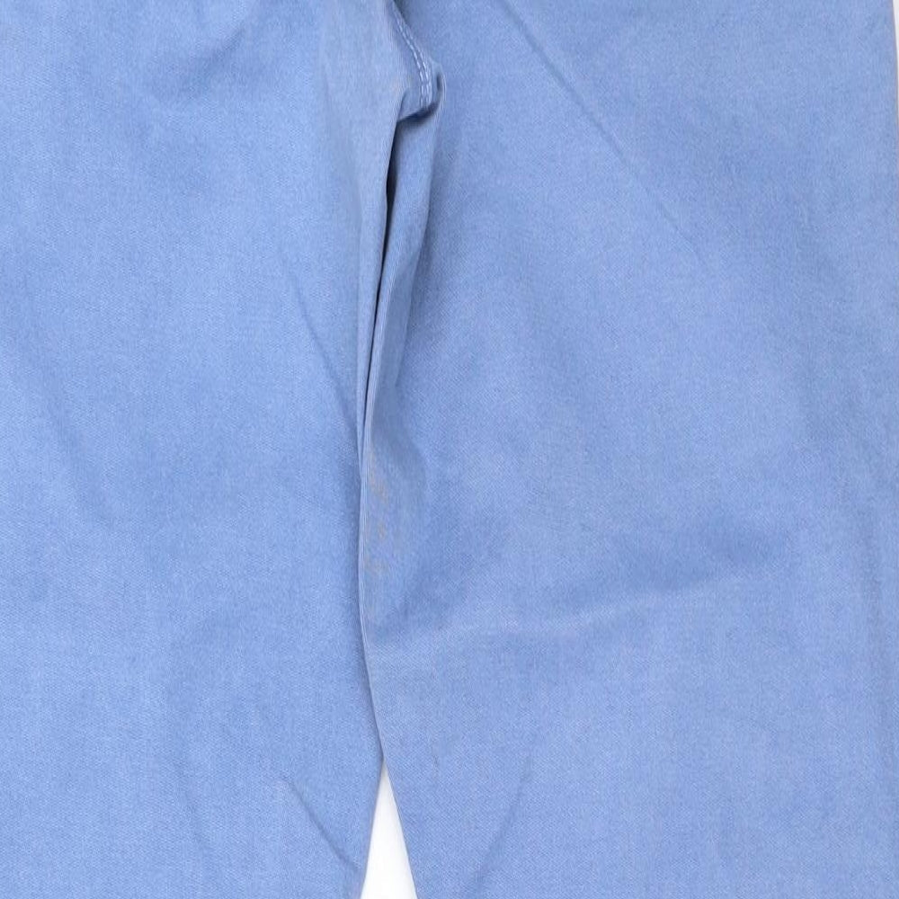 Preworn Womens Blue Skinny Jeans Size 38 in L32 in