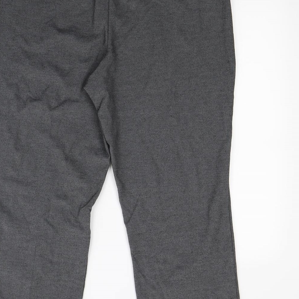 Preworn Womens Grey Dress Pants Trousers Size 16 L24 in