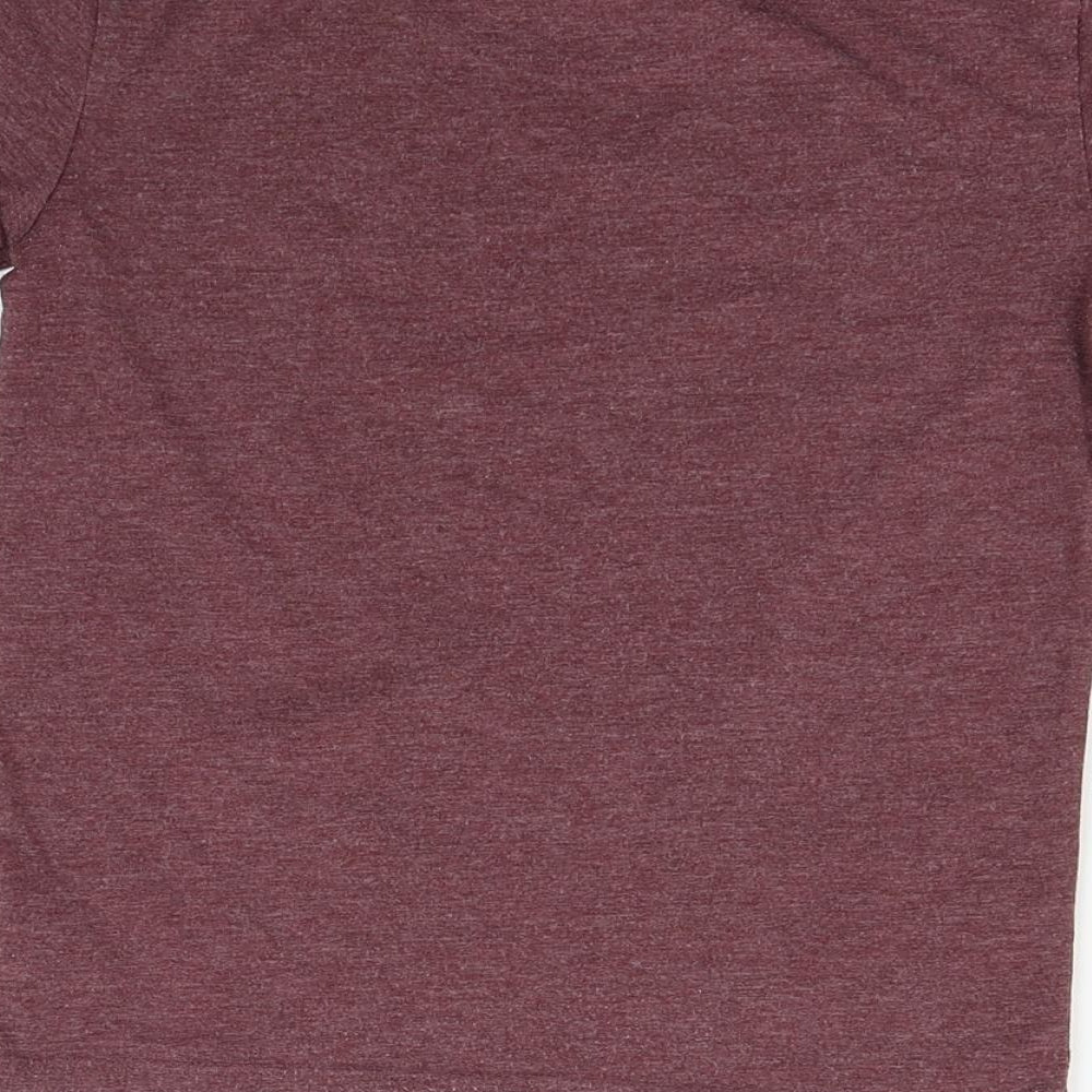 Debehams Girls Purple Basic T-Shirt Size 6-7 Years - DOG IN CAR