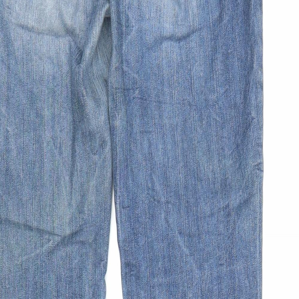 Skin Mens Blue Denim Straight Jeans Size 29 in L32 in