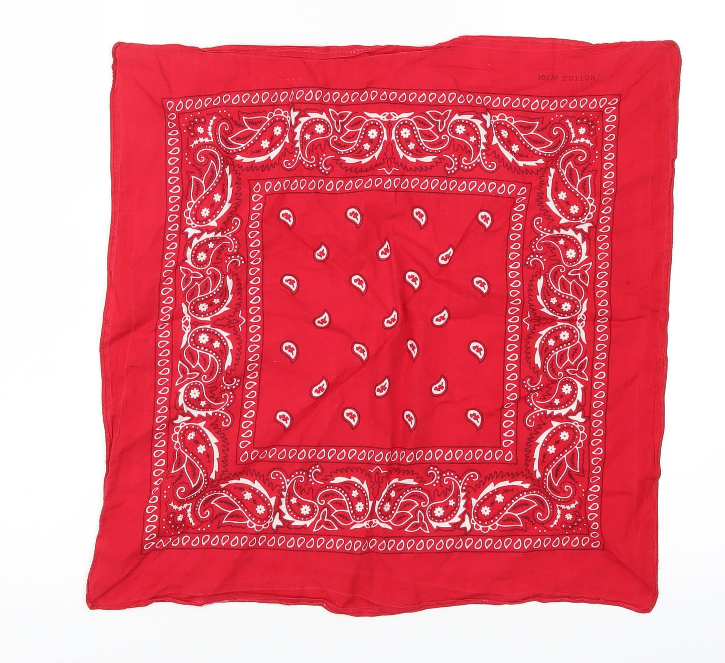Preworn Womens Red Paisley Scarf