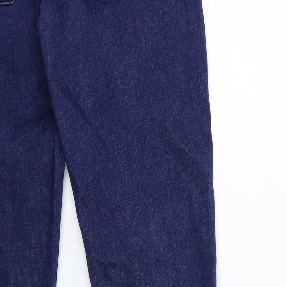 Preworn Womens Blue Denim Skinny Jeans Size 28 in L30 in