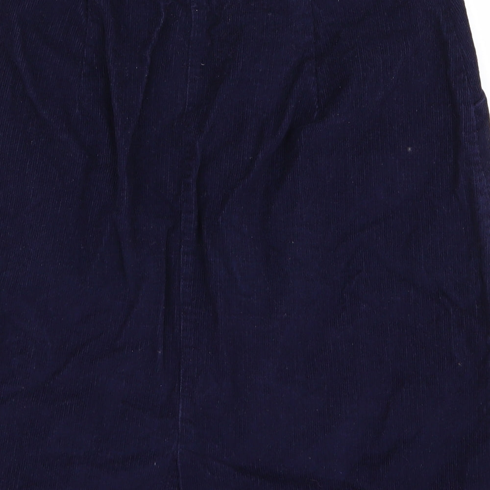 bib co Womens Blue Straight & Pencil Set Size 28