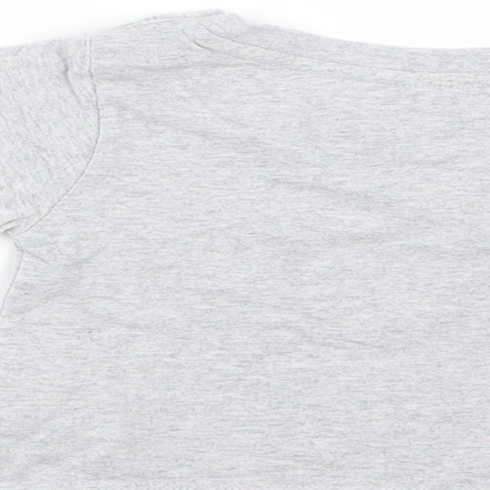 Earlydays Boys Grey Basic T-Shirt Size 3-6 Months - T-Rex