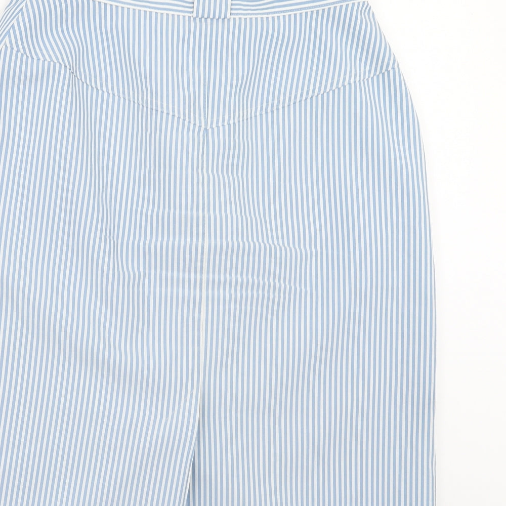 Preworn Womens Blue Striped A-Line Skirt Size 30 in