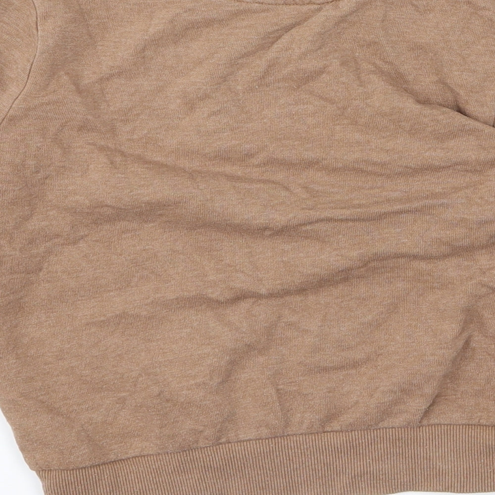 George Boys Brown Pullover Jumper Size 3 Years - dinosaur