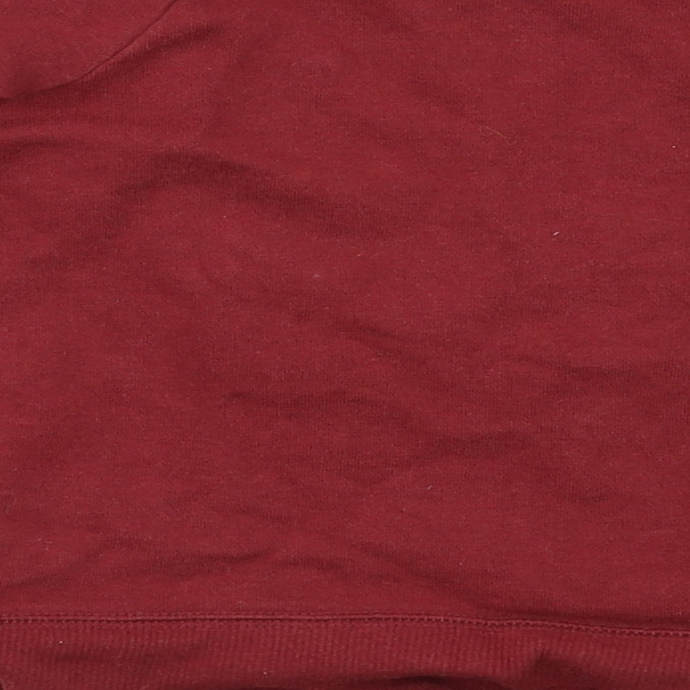 Preworn Boys Red Pullover Sweatshirt Size 2-3 Years - Harry Potter