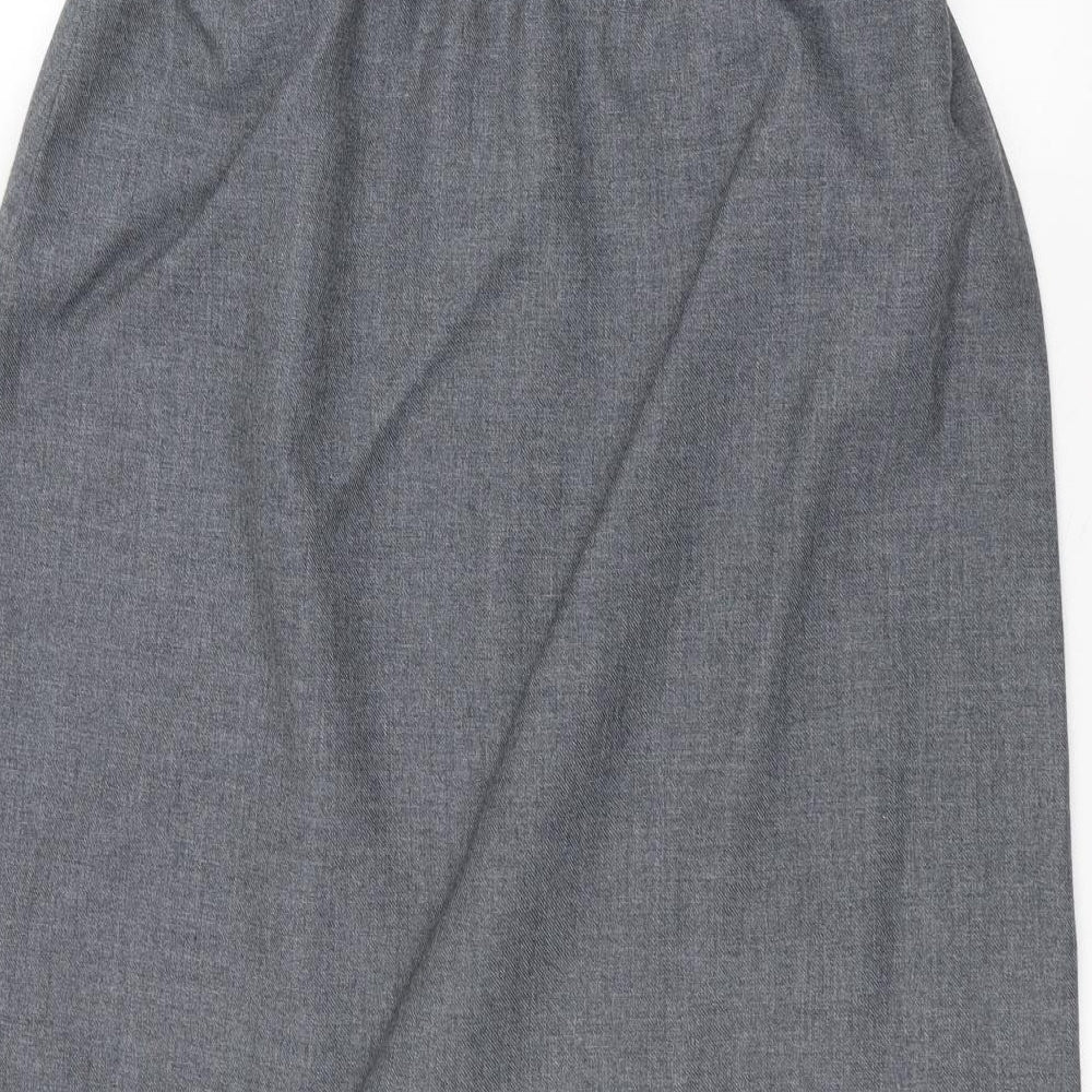 Preworn Womens Grey A-Line Skirt Size 30 in