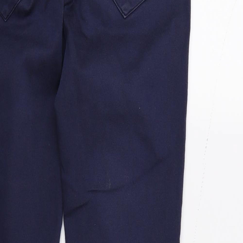 Zara Womens Blue Skinny Jeans Size 8 L26 in