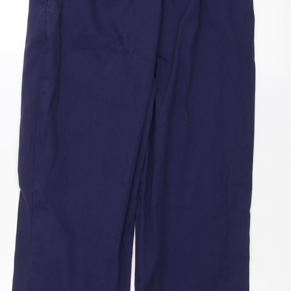 Alexandra Womens Blue Straight Jeans Size 10 L25 in