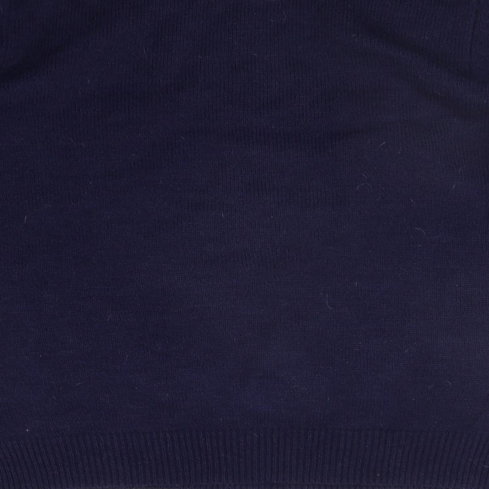 Cedarwood State Mens Blue Pullover Jumper Size M - Christams