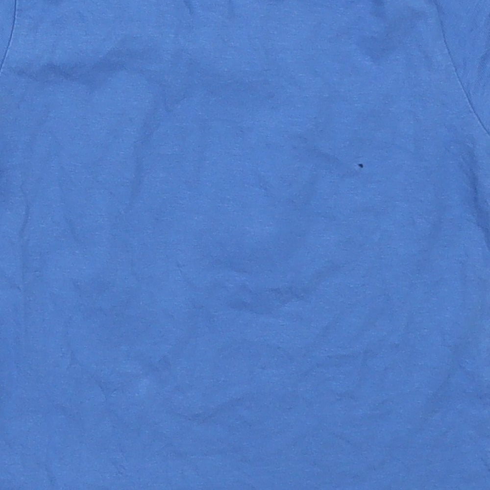 Primark Boys Blue Basic T-Shirt Size 12-18 Months - Can You See Me? Chameleon
