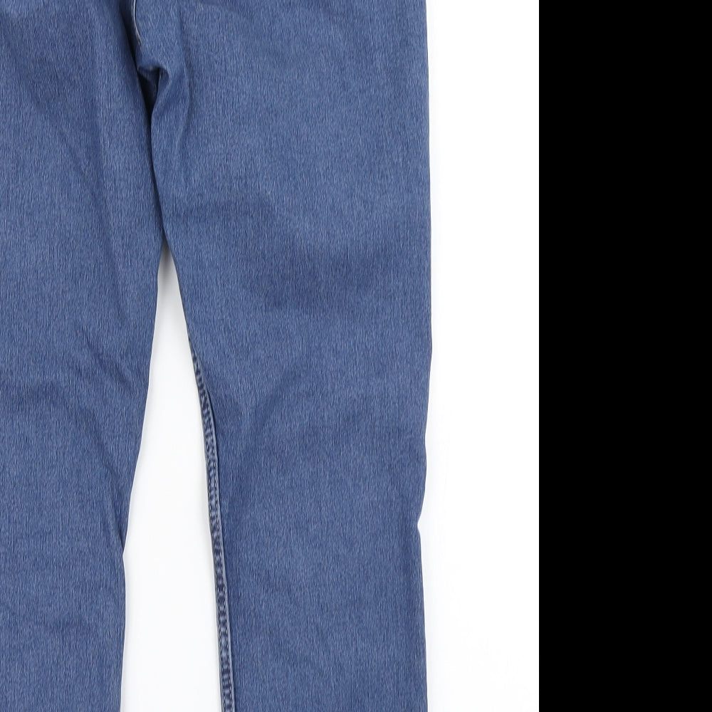 &Denim Womens Blue Denim Straight Jeans Size 33 in L23 in