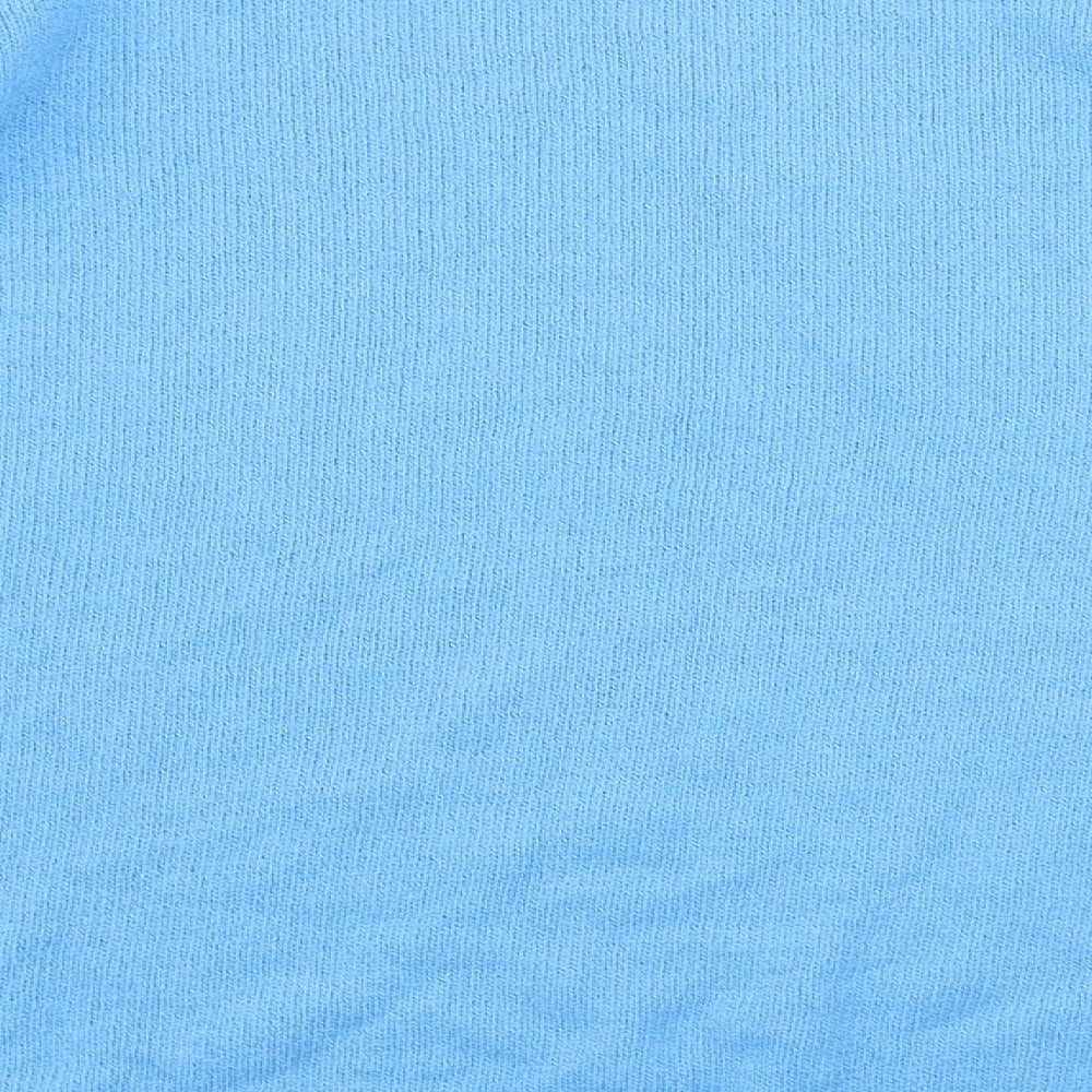 JOIE DE VIURE Mens Blue Pullover Jumper Size XL