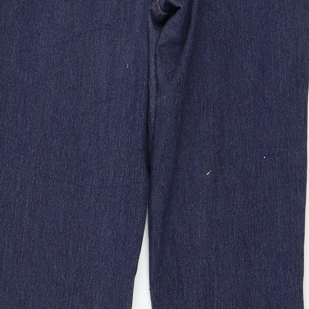 Jania Womens Blue Denim Straight Jeans Size 8 L30 in
