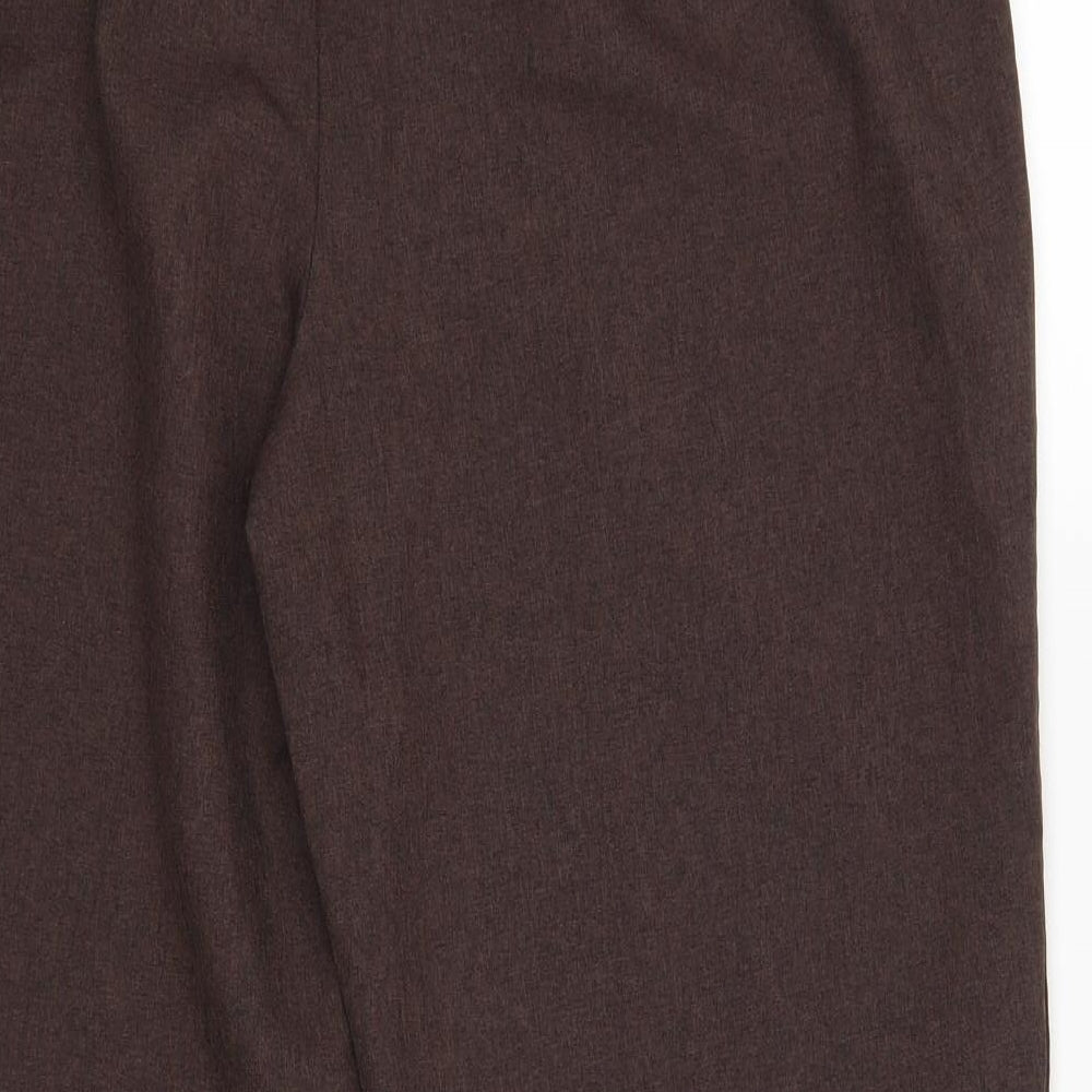 BM Womens Brown Dress Pants Trousers Size 16 L26 in