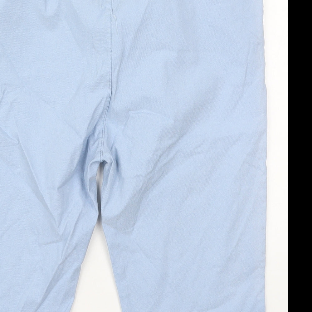 Preworn Womens Blue Viscose Bermuda Shorts Size 28 in L12 in Regular