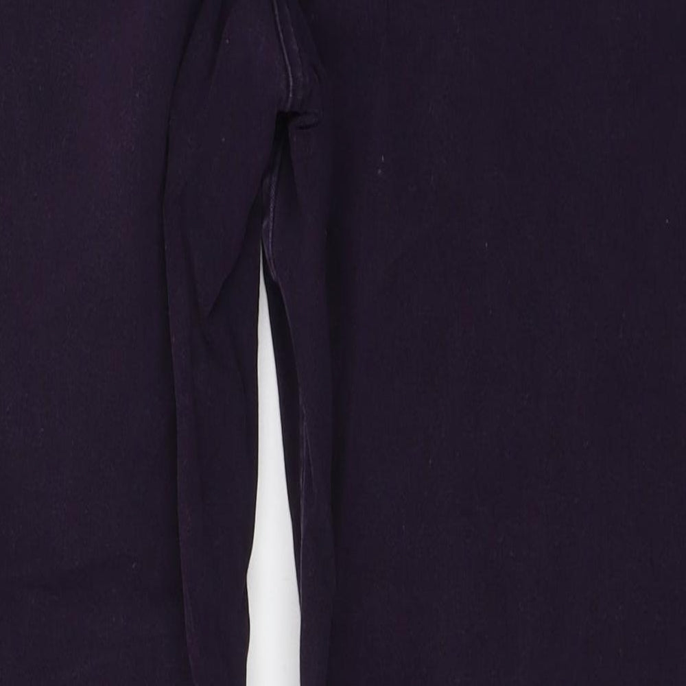 Maine Womens Purple Cotton Straight Jeans Size 16 L27 in Regular Zip