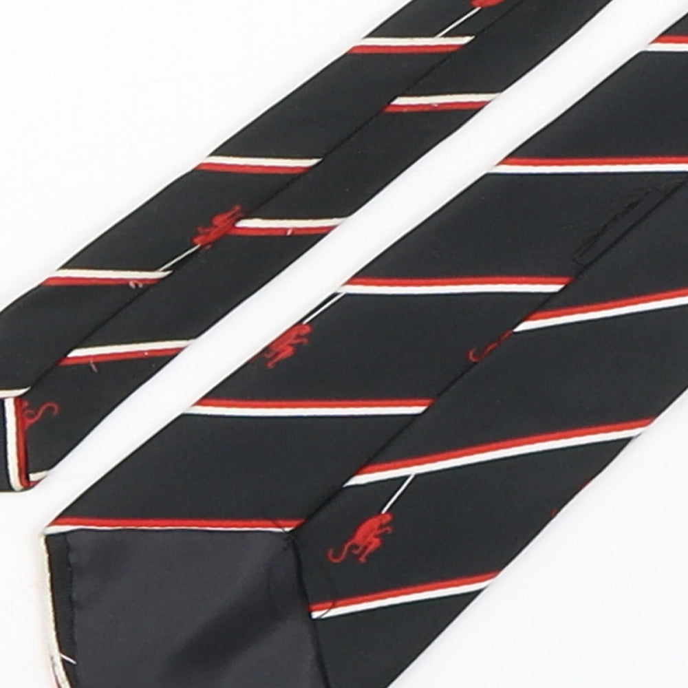 PreWorn Mens Multicoloured Striped Polyester Pointed Tie One Size