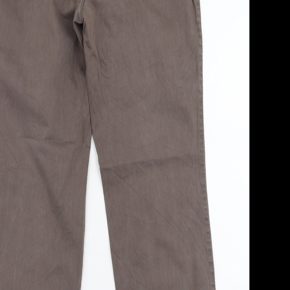 GARDEUR Womens Brown Polyester Trousers Size 31 in L28 in Regular Zip