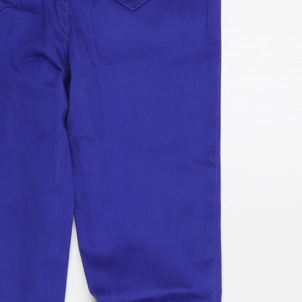 Blanco Womens Blue Cotton Skinny Jeans Size 10 L30 in Regular Button