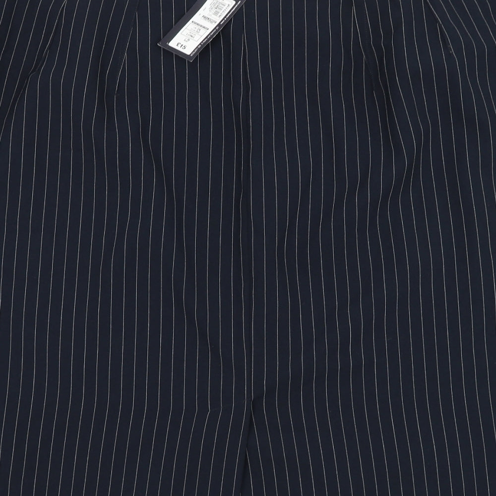 Marks & Spencer Womens Blue Striped Polyester A-Line Skirt Size 24 Zip