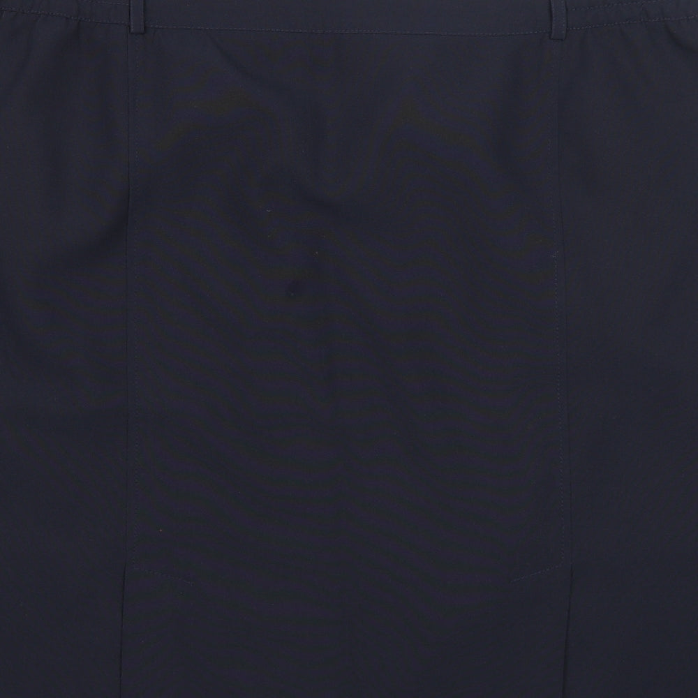 Agenda Womens Blue Polyester A-Line Skirt Size 26 Button