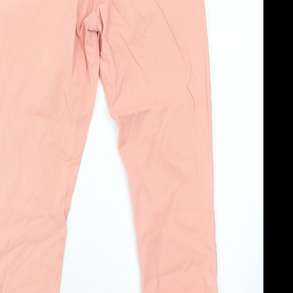 Gap Womens Pink Cotton Straight Jeans Size 10 Regular Zip