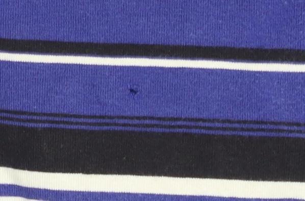 Athletic Essentials Women's Blue Striped Polo, Size 12