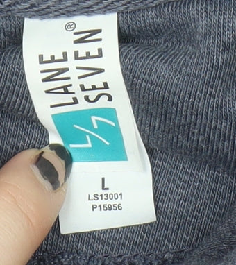 Lane Seven Men's Blue Large Pullover Hoodie