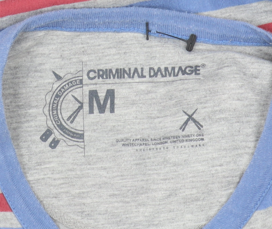 Criminal Damage Men's Multicoloured Striped T-Shirt
