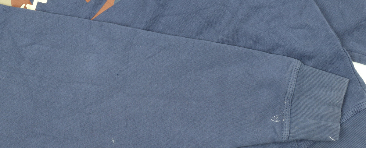Champion Men's Blue Pullover Hoodie L Sports Graphic Fleece