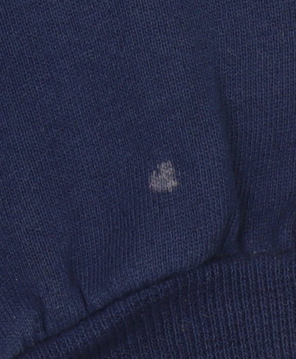 Famous Sportswear Men’s Blue Pullover Sweatshirt L Embroidered Augastana Dad