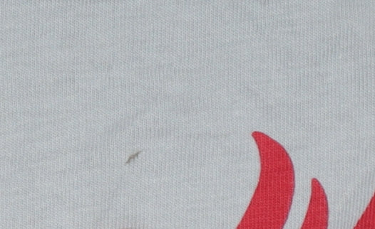 St. Bernard Boys Red Liverpool FC Graphic Cotton T-Shirt 10-11 Years
