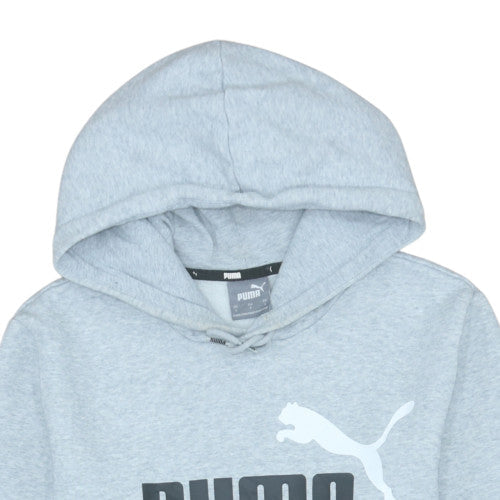 Puma Men's Grey Pullover Hoodie Small Regular Fit Sports Fleece