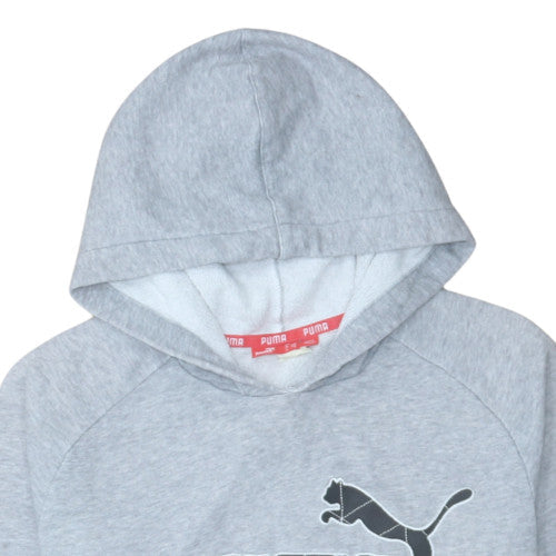 Puma Mens Grey Pullover Hoodie Size S Graphic Fleece Sweatshirt