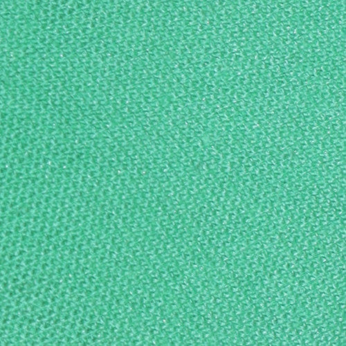 Champion Men's Green Short Sleeve Polo Shirt Medium Cotton