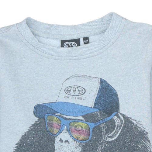 Animal Boys Grey Graphic Print Pullover Sweatshirt 13-14 Years