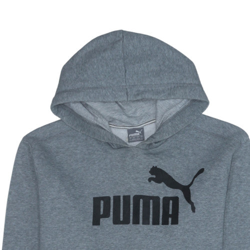 Puma Men Grey Pullover Hoodie L Regular Fit Graphic Print