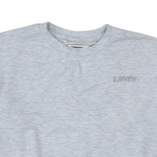 Levi's Boys Grey 12 Years Pullover Sweatshirt Crew Neck Logo Jumper