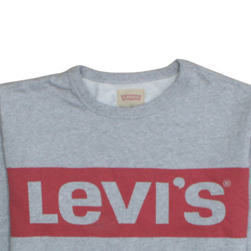 Levi's Boys Grey Logo Pullover Sweatshirt Size 14 Years Crew Neck