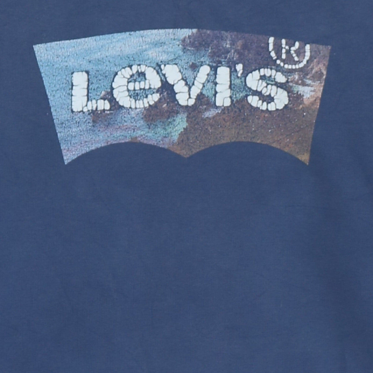 Levi's Men's Blue Pullover Hoodie L Logo Graphic Sweatshirt