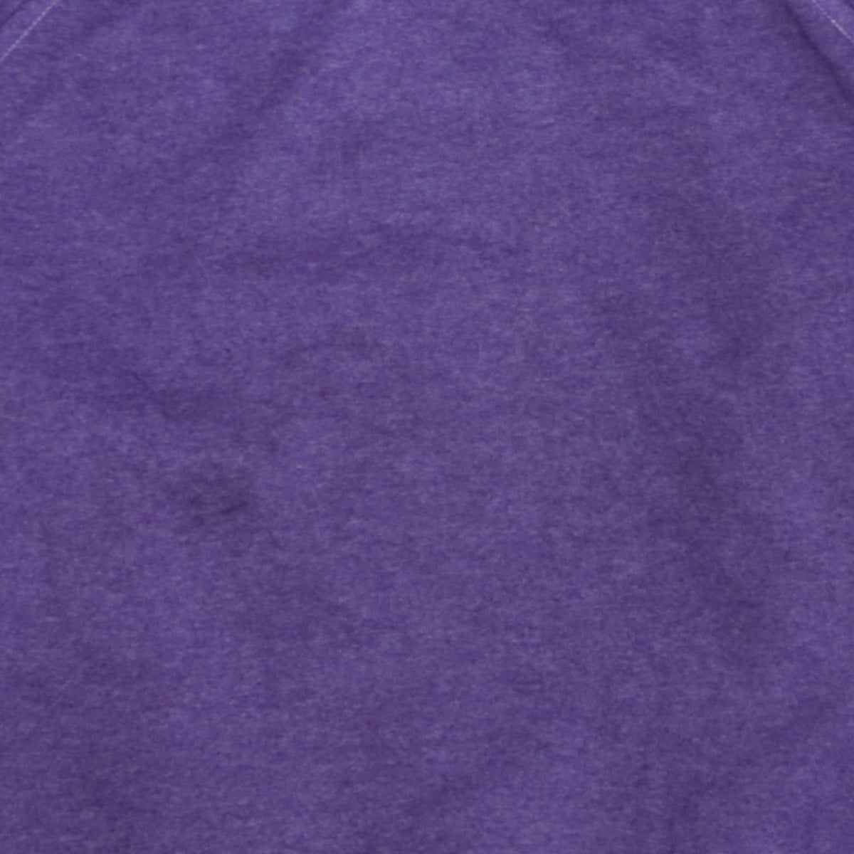 Champion Women's Purple Crew Neck Pullover Sweatshirt Size S
