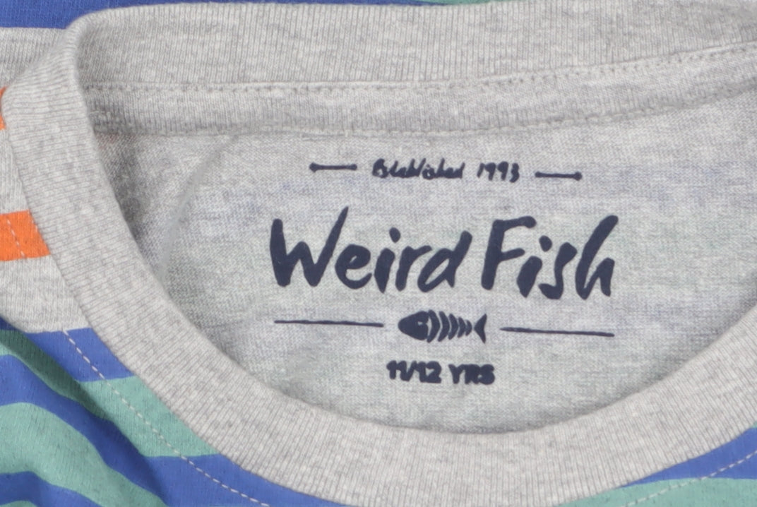 Weird Fish Boys Multicoloured Striped Long Sleeve Cotton T-Shirt 11-12 Years