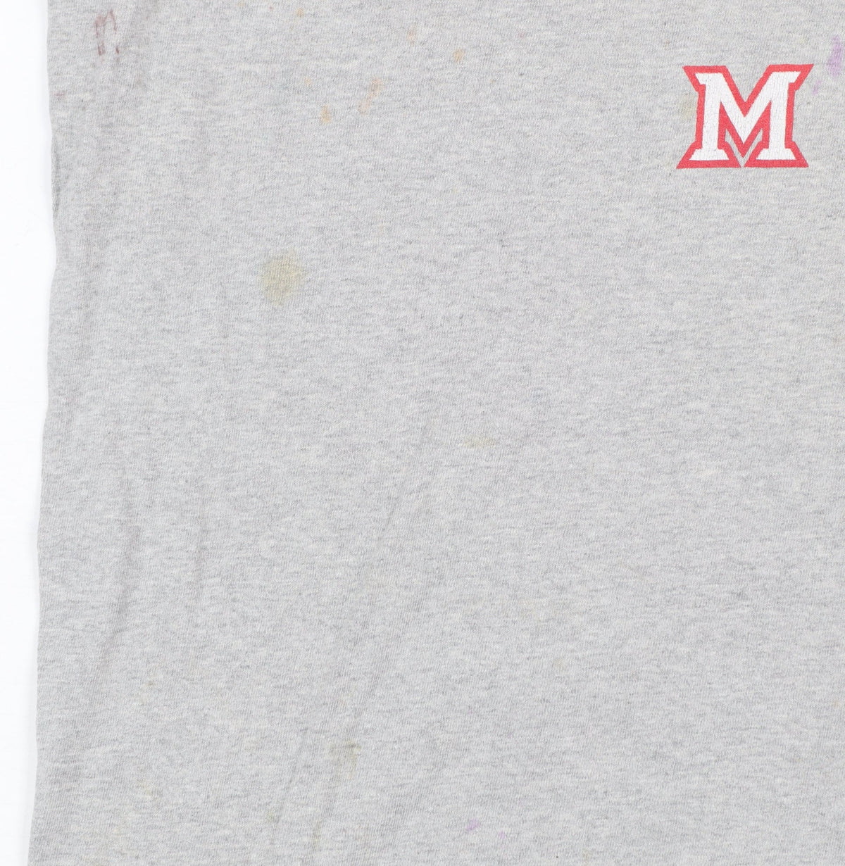 Champion Men's Grey Miami Swimming Graphic T-Shirt Medium Cotton