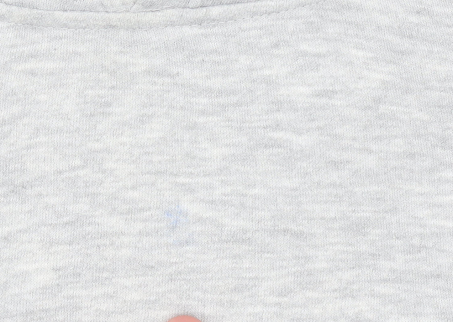 Champion Boys Grey Pullover Hoodie L Fleece Logo Sportswear