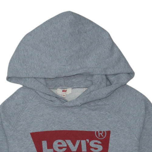 Levi's Men's Grey XS Pullover Hoodie with Logo Design